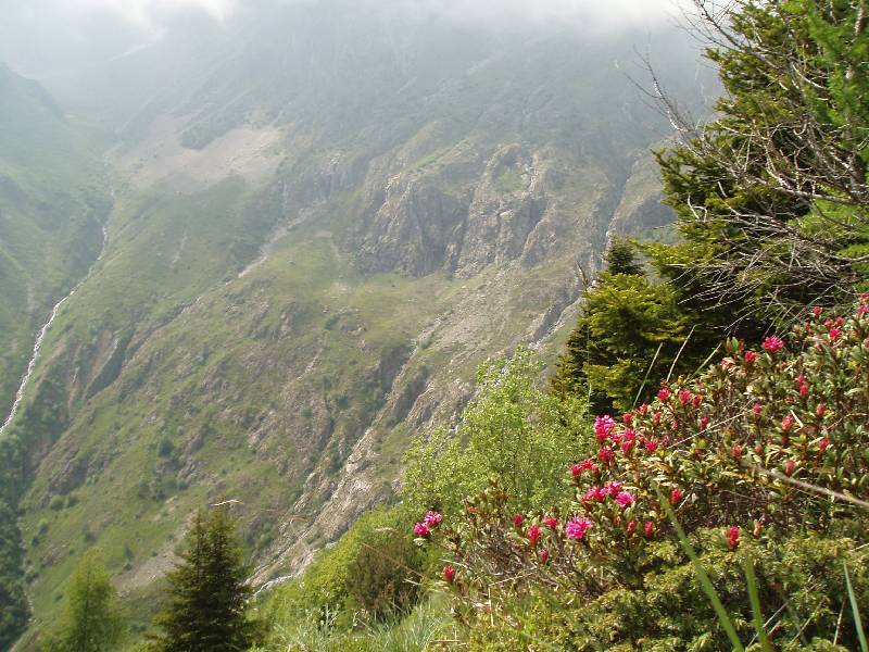 Youri - Ecrins 2005 396 